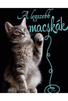 A legszebb macskák