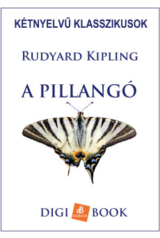 A pillangó (e-könyv)
