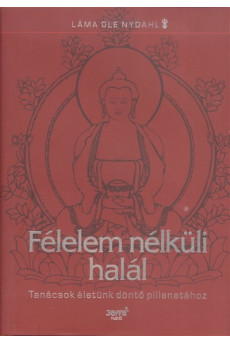 Félelem nélküli halál /Tanácsok életünk döntő pillanataihoz