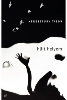 Hűlt helyem (e-könyv)