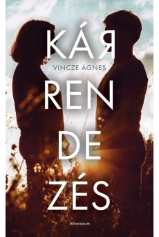 Kárrendezés