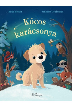 Kócos karácsonya