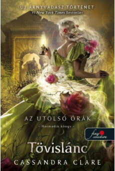 Tövislánc - Az utolsó órák 3. (puha)