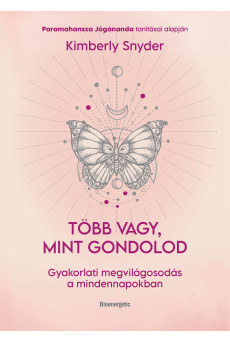 Több vagy, mint gondolod - Gyakorlati megvilágosodás a mindennapokban (e-könyv)