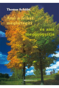 Ami a lelket megbetegíti és ami meggyógyítja
