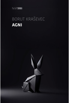 Agni (e-könyv)