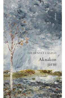 Aknákon járni