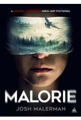 Malorie - Madarak a dobozban 2.