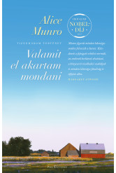 Valamit el akartam mondani (e-könyv)