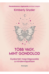 Több vagy, mint gondolod - Gyakorlati megvilágosodás a mindennapokban