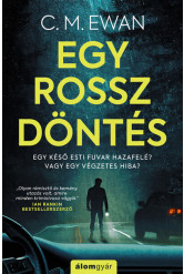 Egy rossz döntés